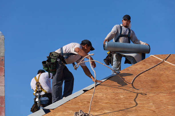 Best New Roof Installation  in Holly Ridge, NC